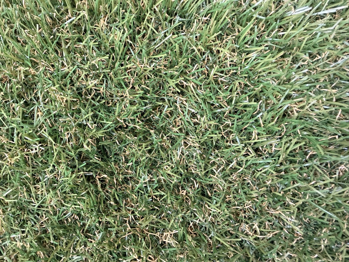 Close-up of our natural-look turf, mixed-tone green fibres with dry blades blended through.