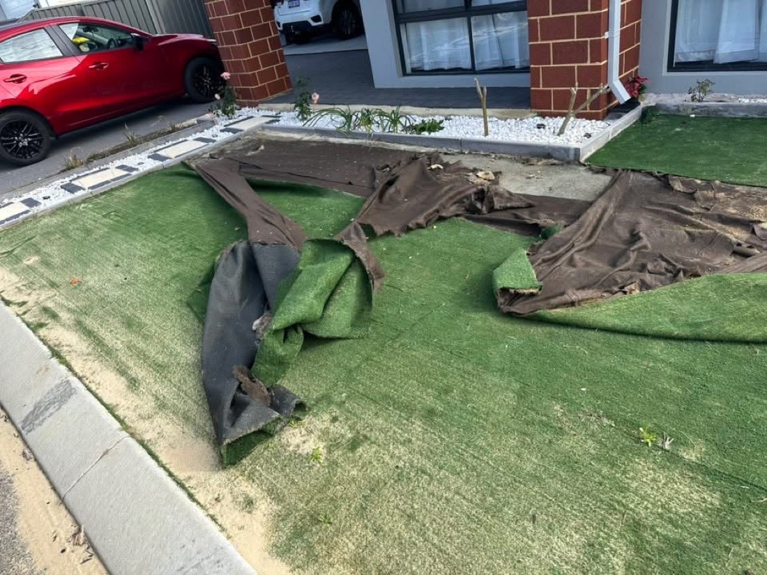 Old failed artificial turf peeled back to expose the brown underlay, mid-removal at a front entrance.