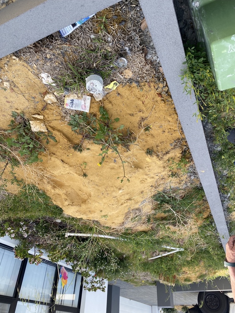 Sandy, weedy side return with rubble and loose plants, before installation.